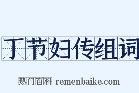 丁节妇传组词是什么意思的图片